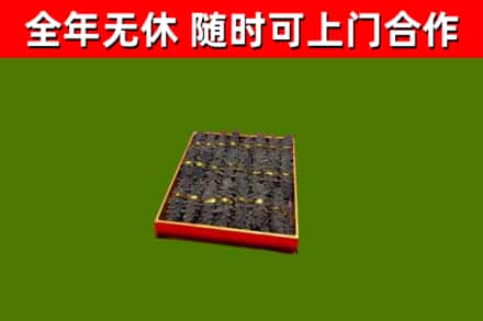 北票市回收海参